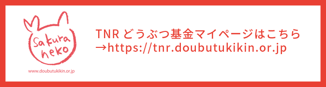 2021年度さくらねこ無料不妊手術事業 どうぶつ基金