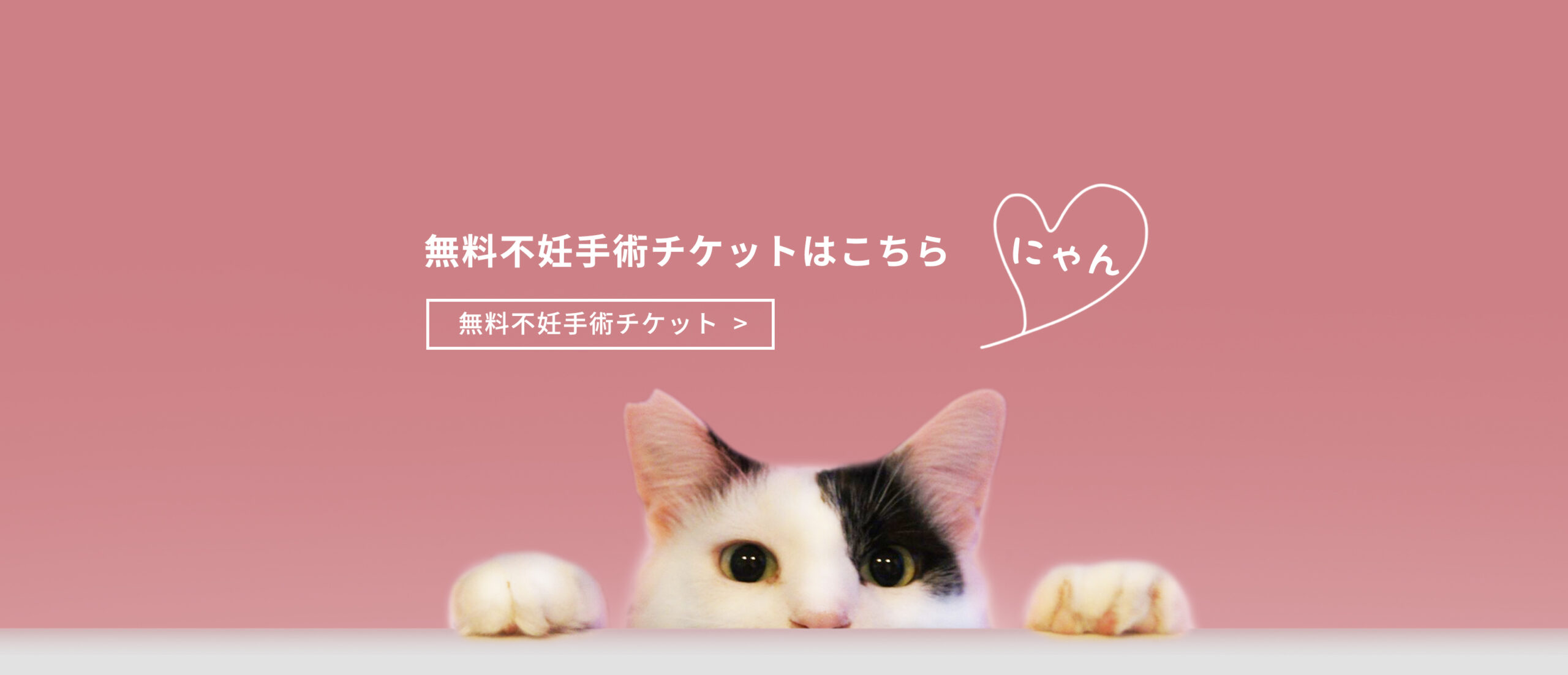 さくらねこ無料不妊手術チケットはこちら