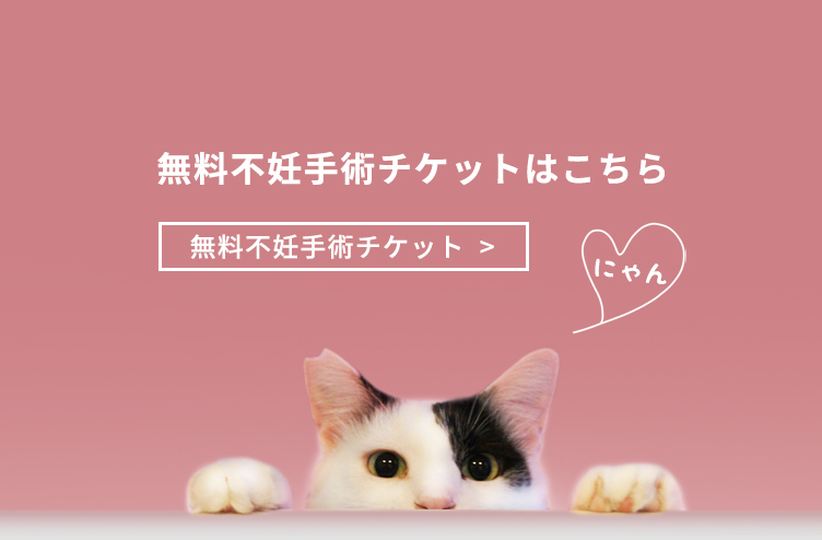 さくらねこ無料不妊手術チケットはこちら