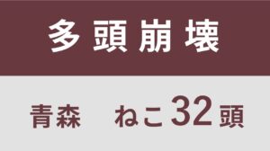 4_青森県五戸町多頭飼育救済支援レポート(行政枠）