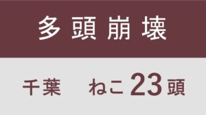 17_千葉県君津市多頭飼育救済支援レポート(行政枠）