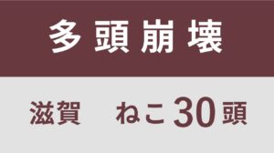 1_滋賀県長浜市多頭飼育救済支援レポート(行政枠）