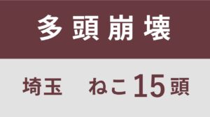 10_埼玉県三郷市多頭飼育救済支援レポート(行政枠）　　　