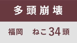 18_福岡県宇美町多頭飼育救済支援レポート(行政枠）　