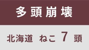 28_北海道苫小牧市多頭飼育救済支援レポート(行政枠)※同案件2回目