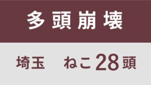 30_埼玉県さいたま市多頭飼育救済支援レポート(行政枠）