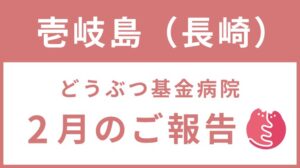 壱岐島プロジェクト「イキイキさくらねこTNR」2月ご報告！